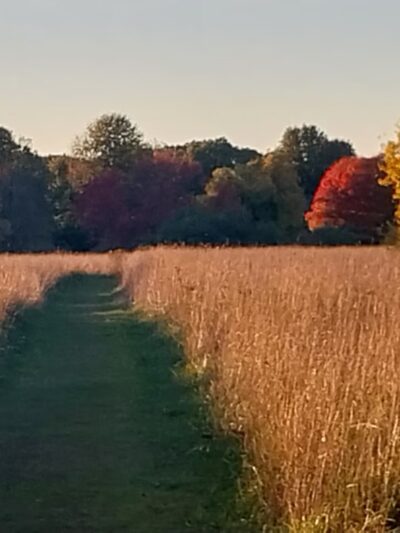 Heard Farm Wayland MA - Wayland, MA