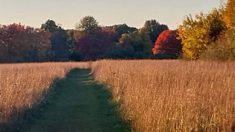 Heard Farm Wayland MA - Wayland, MA
