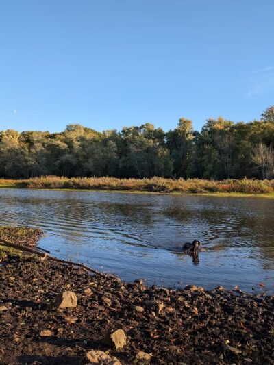 Heard Farm Wayland MA - Wayland, MA