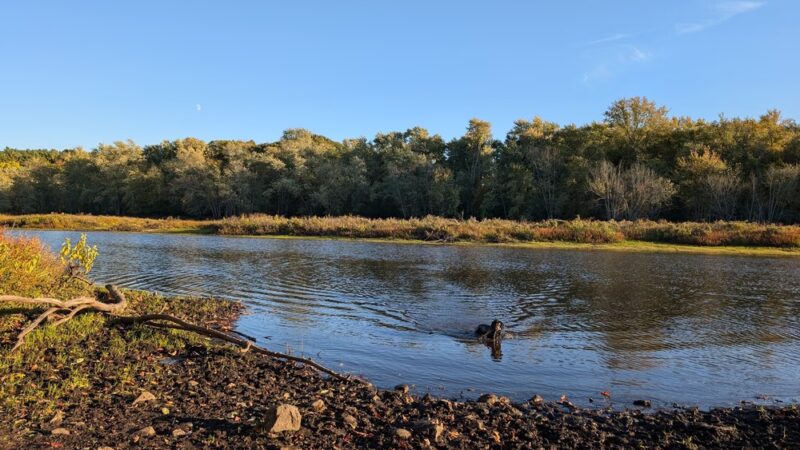 Heard Farm Wayland MA - Wayland, MA