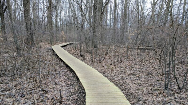 Heard Farm Wayland MA - Wayland, MA