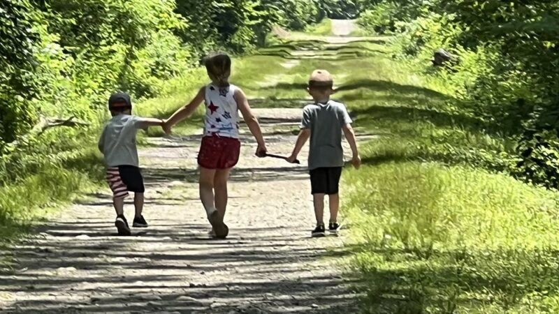 Everett J. Faber Memorial Park - Wayne, NJ