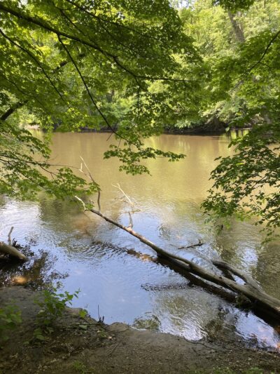 Everett J. Faber Memorial Park - Wayne, NJ