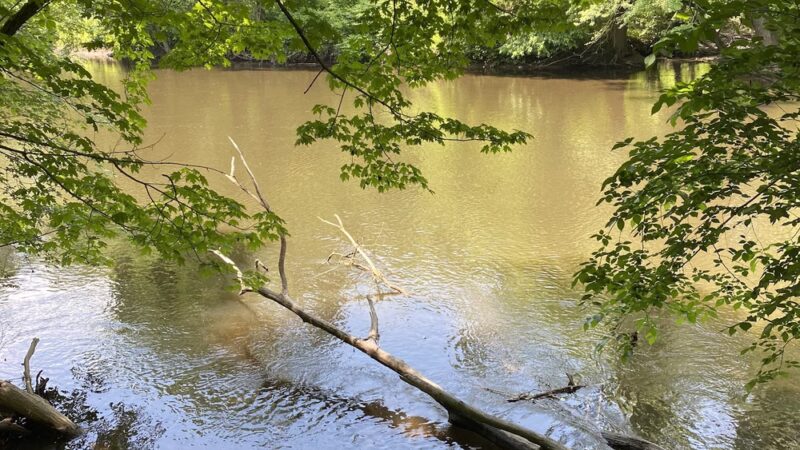 Everett J. Faber Memorial Park - Wayne, NJ