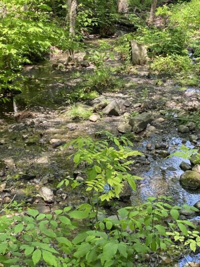 Everett J. Faber Memorial Park - Wayne, NJ