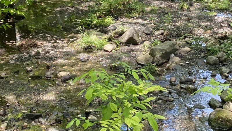 Everett J. Faber Memorial Park - Wayne, NJ