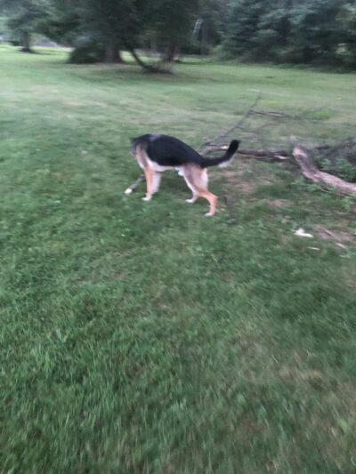 Peninsula Packanack Lake - Wayne, NJ