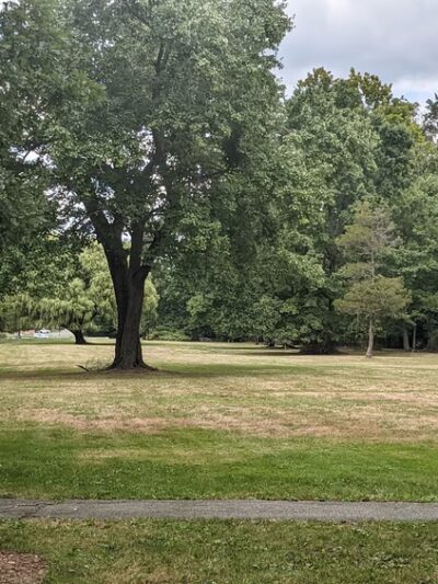 Peninsula Packanack Lake - Wayne, NJ