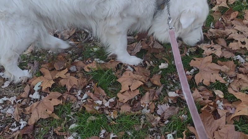 Riverside Park - Wayne, NJ