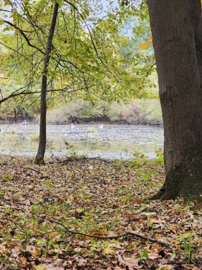 Riverside Park - Wayne, NJ