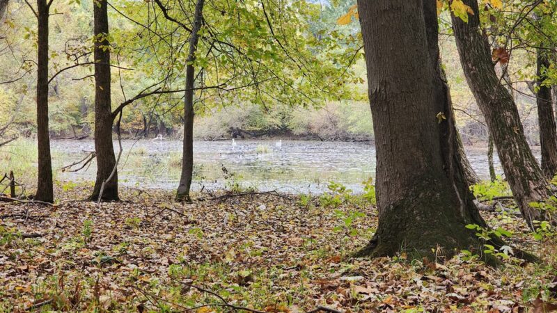 Riverside Park - Wayne, NJ