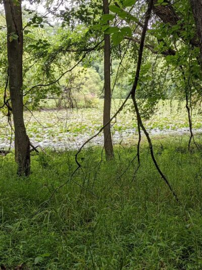 Riverside Park - Wayne, NJ