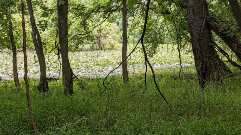 Riverside Park - Wayne, NJ