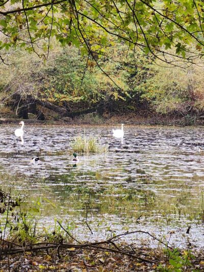 Riverside Park - Wayne, NJ