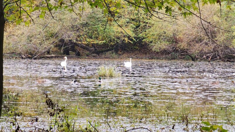 Riverside Park - Wayne, NJ