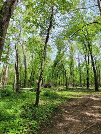 Two Sisters Wetland Preserve Property - Wayne, NJ