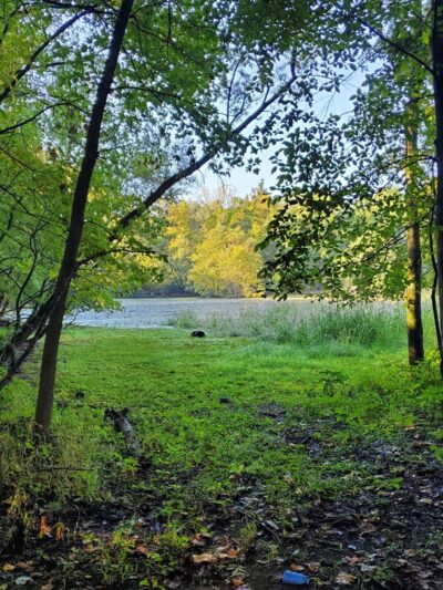 Two Sisters Wetland Preserve Property - Wayne, NJ