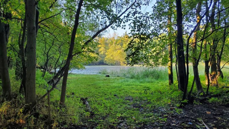 Two Sisters Wetland Preserve Property - Wayne, NJ