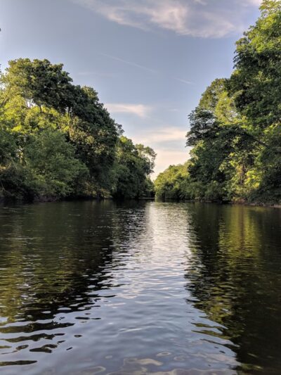 Two Sisters Wetland Preserve Property - Wayne, NJ