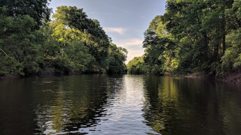 Two Sisters Wetland Preserve Property - Wayne, NJ