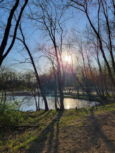 Two Sisters Wetland Preserve Property - Wayne, NJ