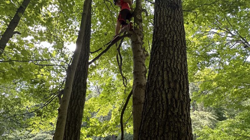 Two Sisters Wetland Preserve Property - Wayne, NJ