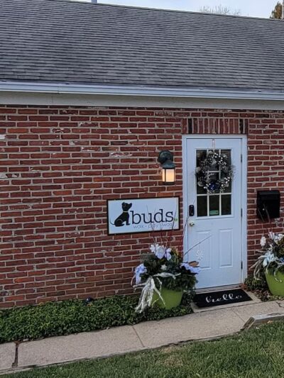 Buds | Walk. Play. Wag. - Wayne, PA