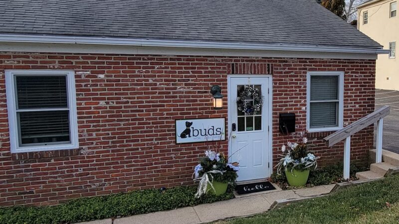 Buds | Walk. Play. Wag. - Wayne, PA