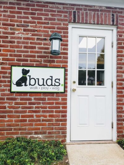 Buds | Walk. Play. Wag. - Wayne, PA