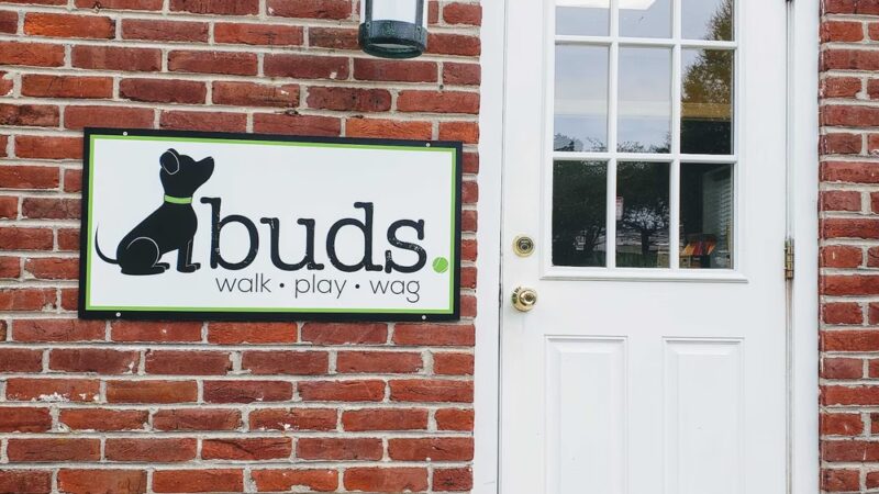 Buds | Walk. Play. Wag. - Wayne, PA