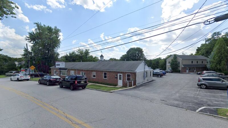 Buds | Walk. Play. Wag. - Wayne, PA