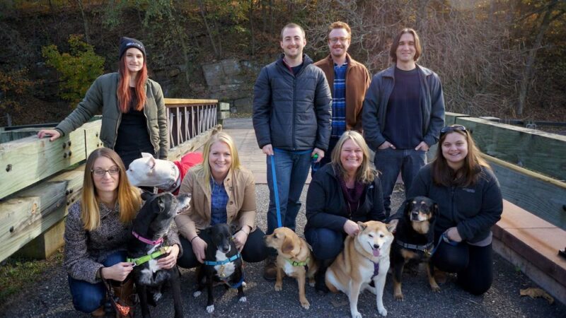 Buds | Walk. Play. Wag. - Wayne, PA