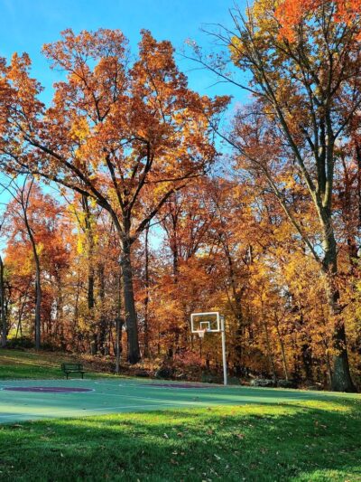 Odorisio Park - Wayne, PA