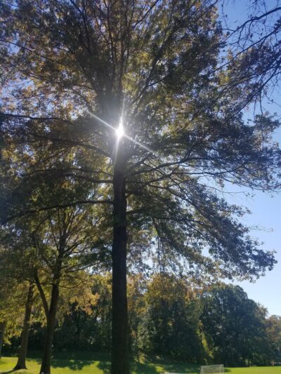 Odorisio Park - Wayne, PA