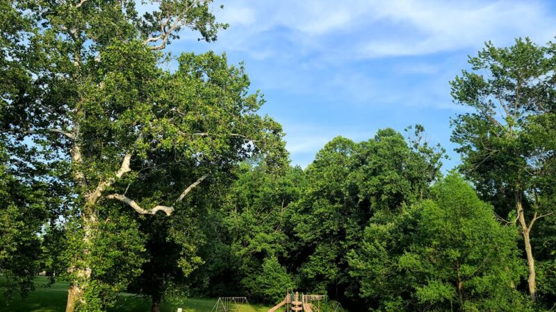 Strafford Park - Wayne, PA