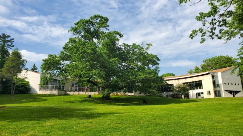 Strafford Park - Wayne, PA