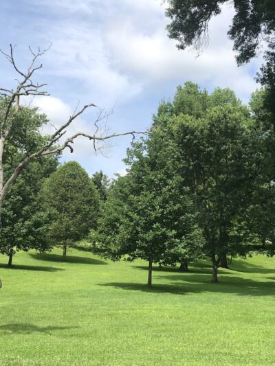 West Park - Waynesburg, PA