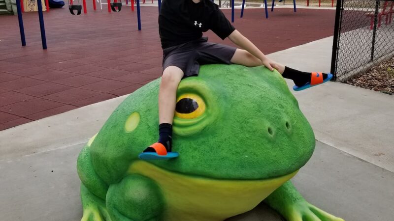 Roubidoux Park - Waynesville, MO