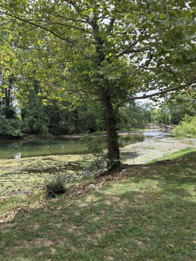 Roubidoux Park - Waynesville, MO
