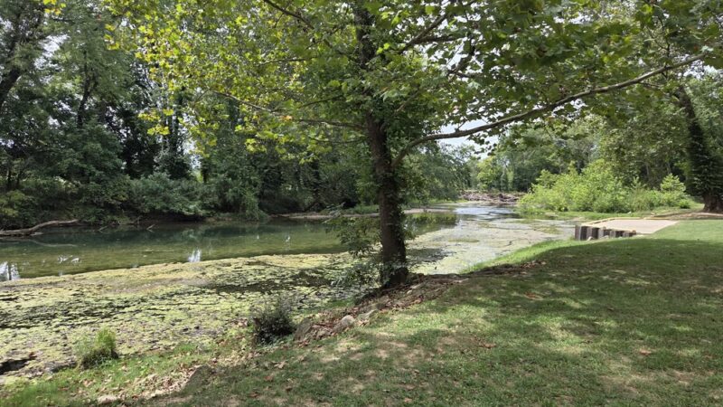 Roubidoux Park - Waynesville, MO