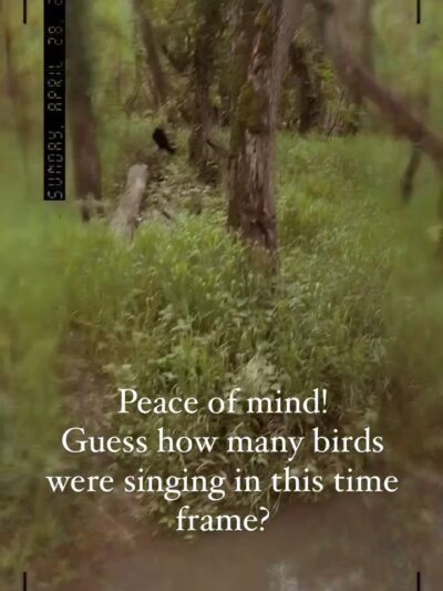 Roubidoux Walking Trail - Waynesville, MO