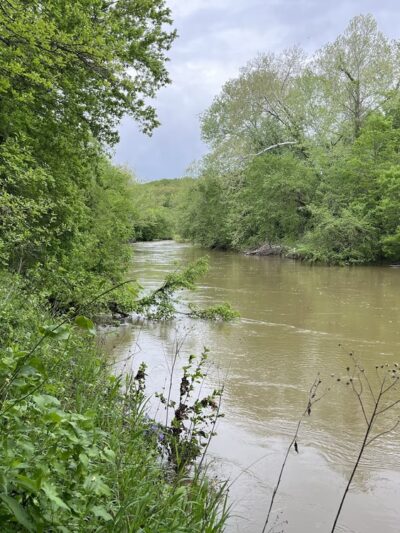 Roubidoux Walking Trail - Waynesville, MO