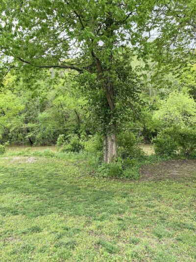 Roubidoux Walking Trail - Waynesville, MO