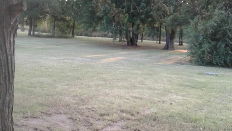 Dog Creek Campground - Waynoka, OK