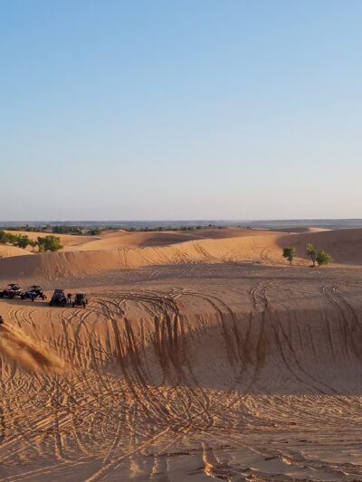 Little Sahara State Park - Waynoka, OK