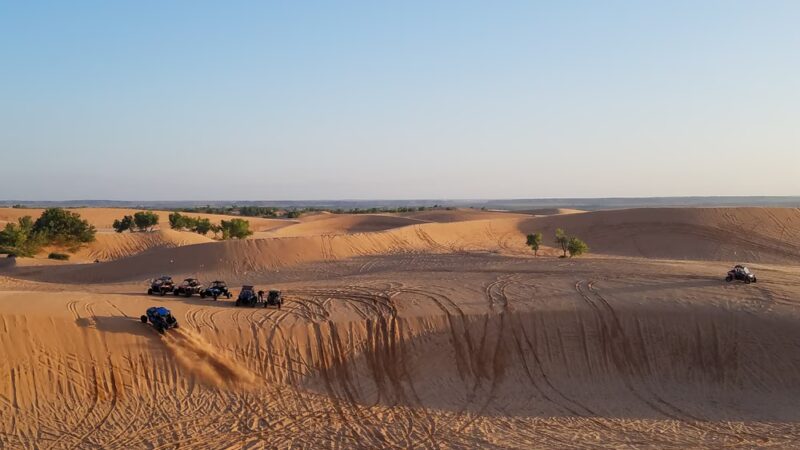 Little Sahara State Park - Waynoka, OK
