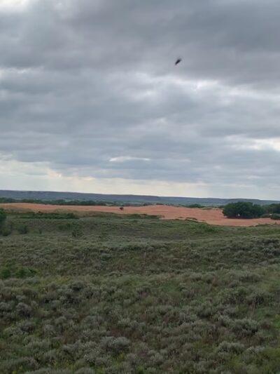 Little Sahara State Park - Waynoka, OK