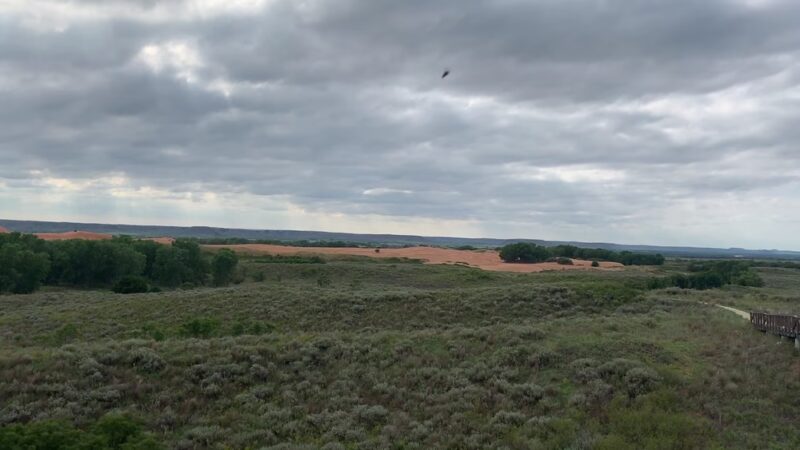 Little Sahara State Park - Waynoka, OK