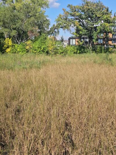 Grays Bay Dam Park - Wayzata, MN