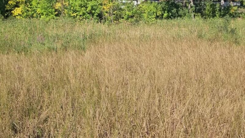 Grays Bay Dam Park - Wayzata, MN